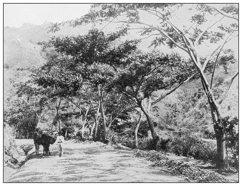 古董黑白照片:Aibonito Pass, Puerto Rico